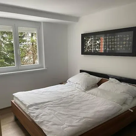 Seewohnung Mit Direktem Seezugang-skiliftnaehe *