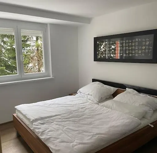 Seewohnung Mit Direktem Seezugang-skiliftnaehe *